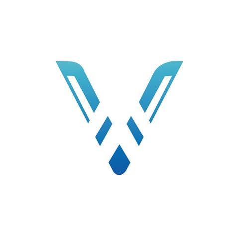 33类酒类商标 V