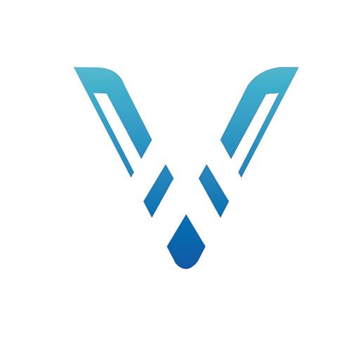 38类通讯服务 V